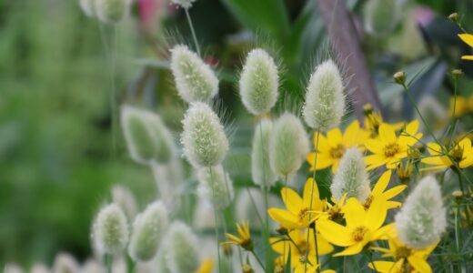 下のソーシャルリンクからフォロー