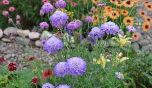 下のソーシャルリンクからフォロー